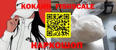 крисы Кингисепп