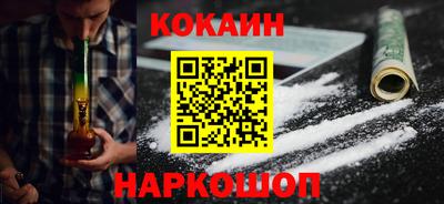 крисы Кингисепп