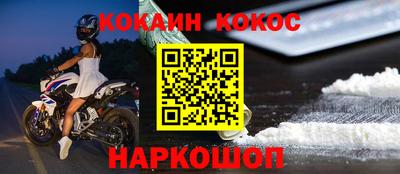 крисы Кингисепп