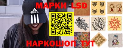 крисы Кингисепп