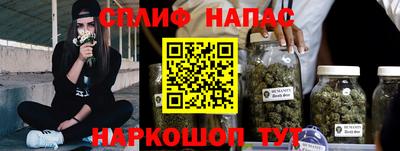крисы Кингисепп