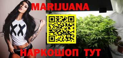 крисы Кингисепп