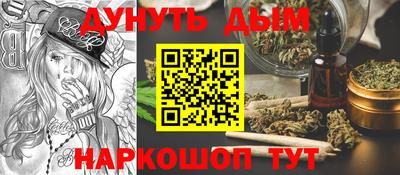 крисы Кингисепп