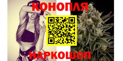 крисы Кингисепп