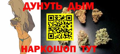 крисы Кингисепп