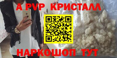 крисы Кингисепп