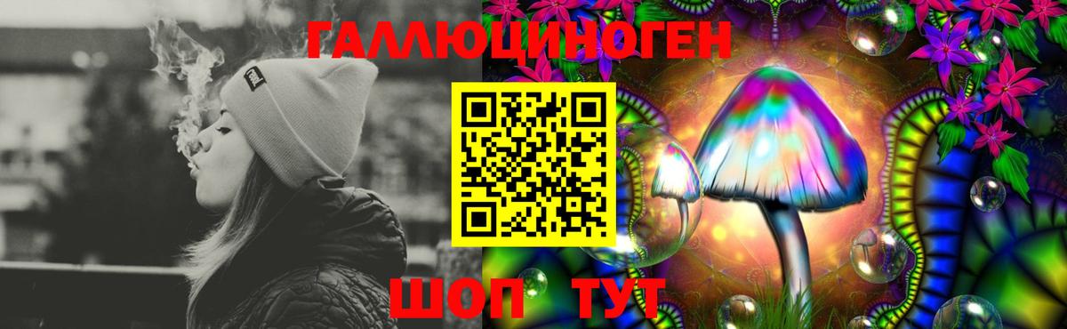 где продают   Вход с VPN  Буйнакск  Галлюциногенные грибы мицелий 